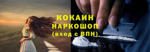 дурь Алзамай