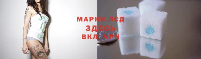дурь Алзамай