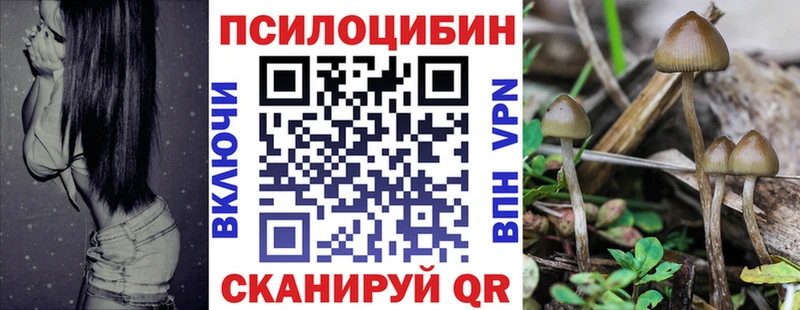 Псилоцибиновые грибы Psilocybine cubensis  Бабаево 