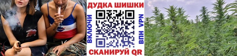 Каннабис SATIVA & INDICA  Бабаево 